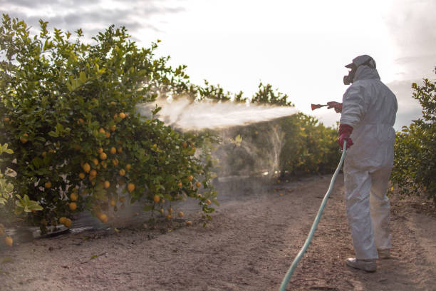 Best Pest Control Treatment  in Bryans Road, MD