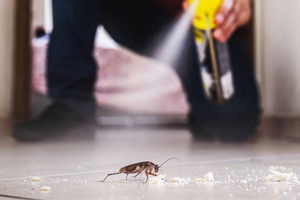 Best Pest Prevention Services  in Bryans Road, MD