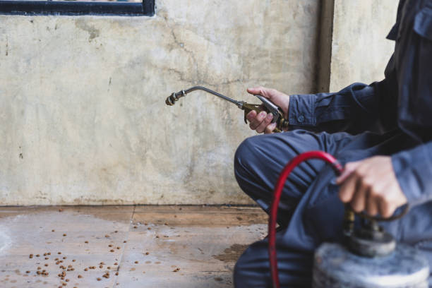 Wasp Removal Services in Bryans Road, MD
